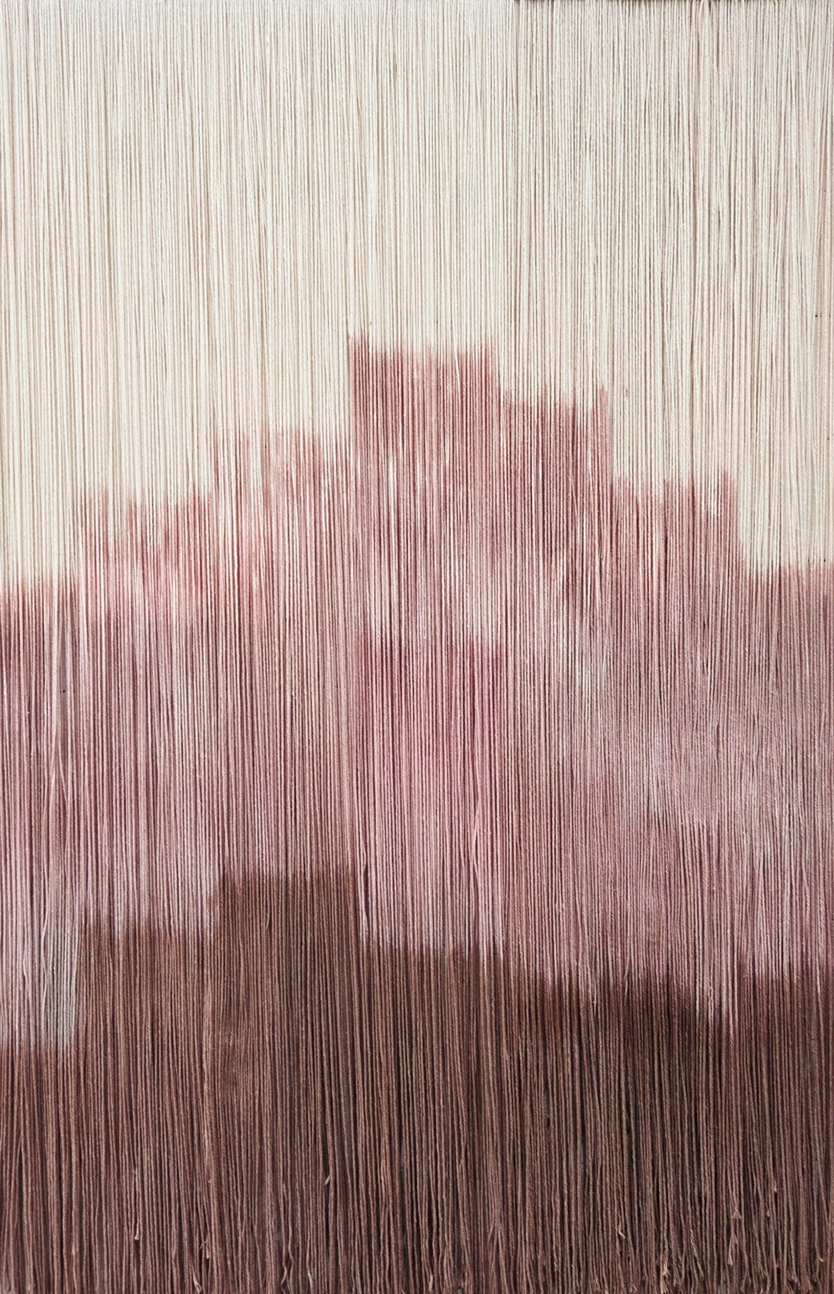 Desert rose